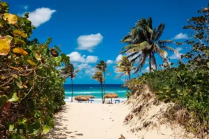Read more about the article Best beaches in the Caribbean: paradise and exclusive destinations