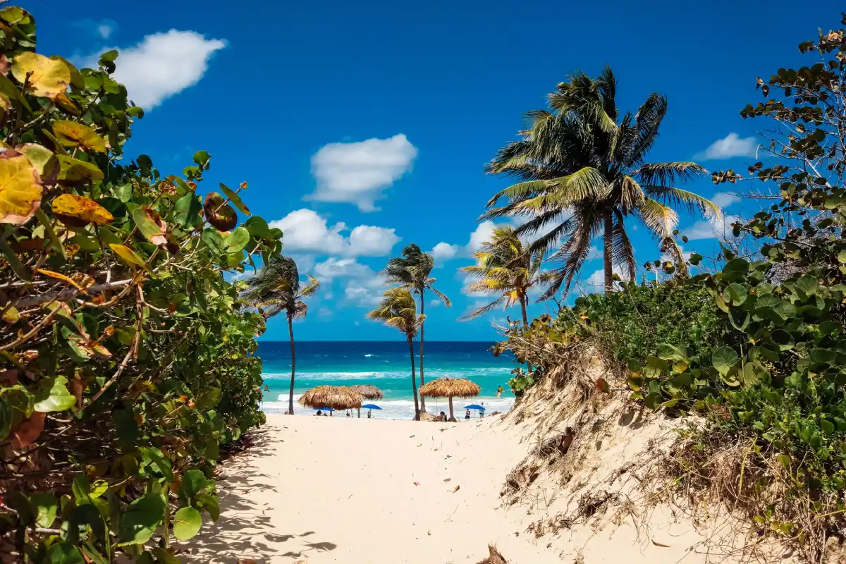 Read more about the article Best beaches in the Caribbean: paradise and exclusive destinations