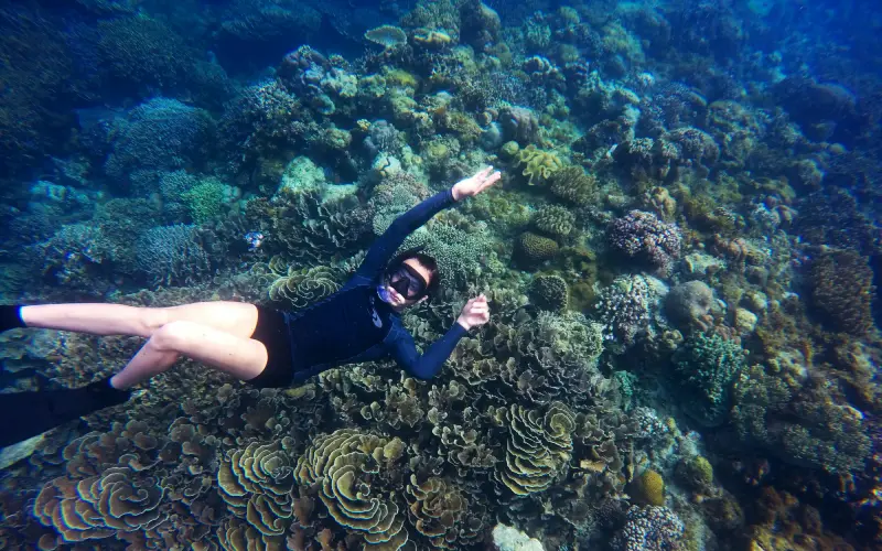 Read more about the article Best places to snorkel in the Caribbean: top 5 destinations