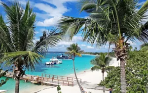 Read more about the article Isla Catalina: natural wonder of the Caribbean