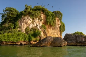 Lee más sobre el artículo Ecoturismo en República Dominicana: Tu Experiencia Sostenible de Lujo