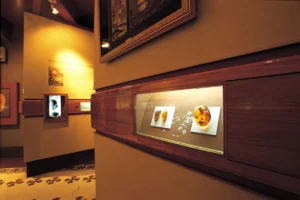 Read more about the article Museums in the Dominican Republic: an authentic cultural journey