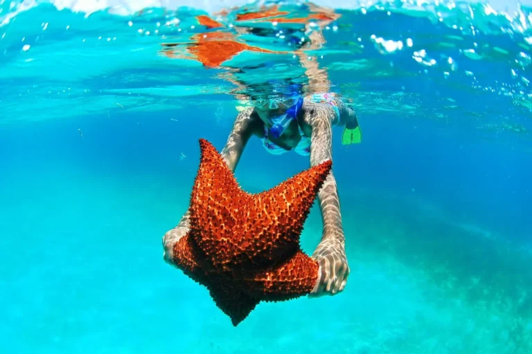 Saona Island excursion from Punta Cana: the best of the Caribbean