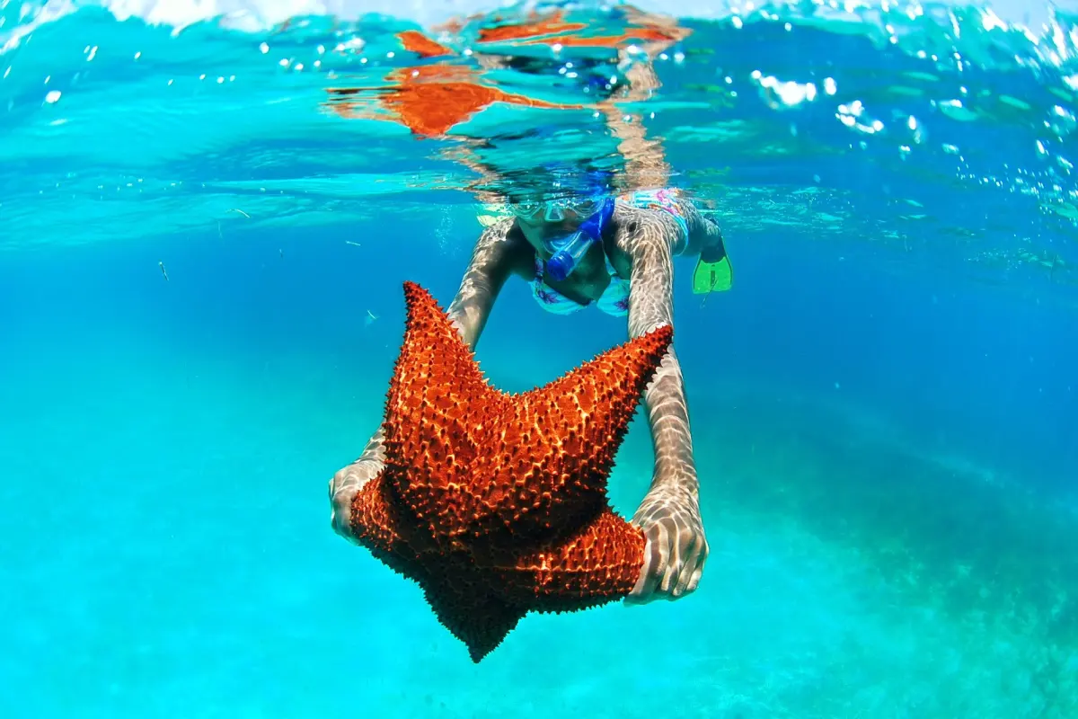 Saona Island excursion from Punta Cana: the best of the Caribbean