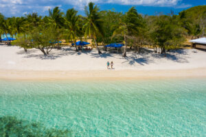 Lee más sobre el artículo Samaná vs Punta Cana: El mejor destino de playa para tu viaje a República Dominicana